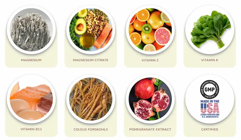 HydroLean XT Gold Ingredients